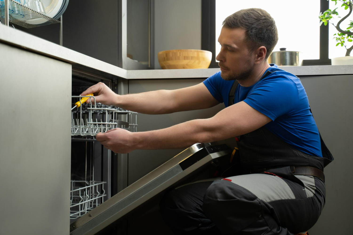 AEG Dishwasher Repairs Hills District