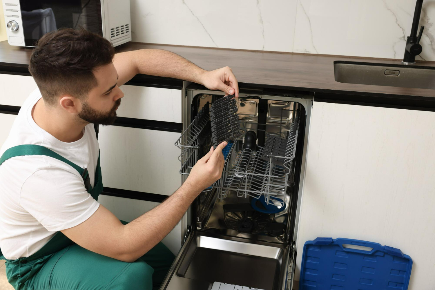 AEG Dishwasher Repairs Blacktown