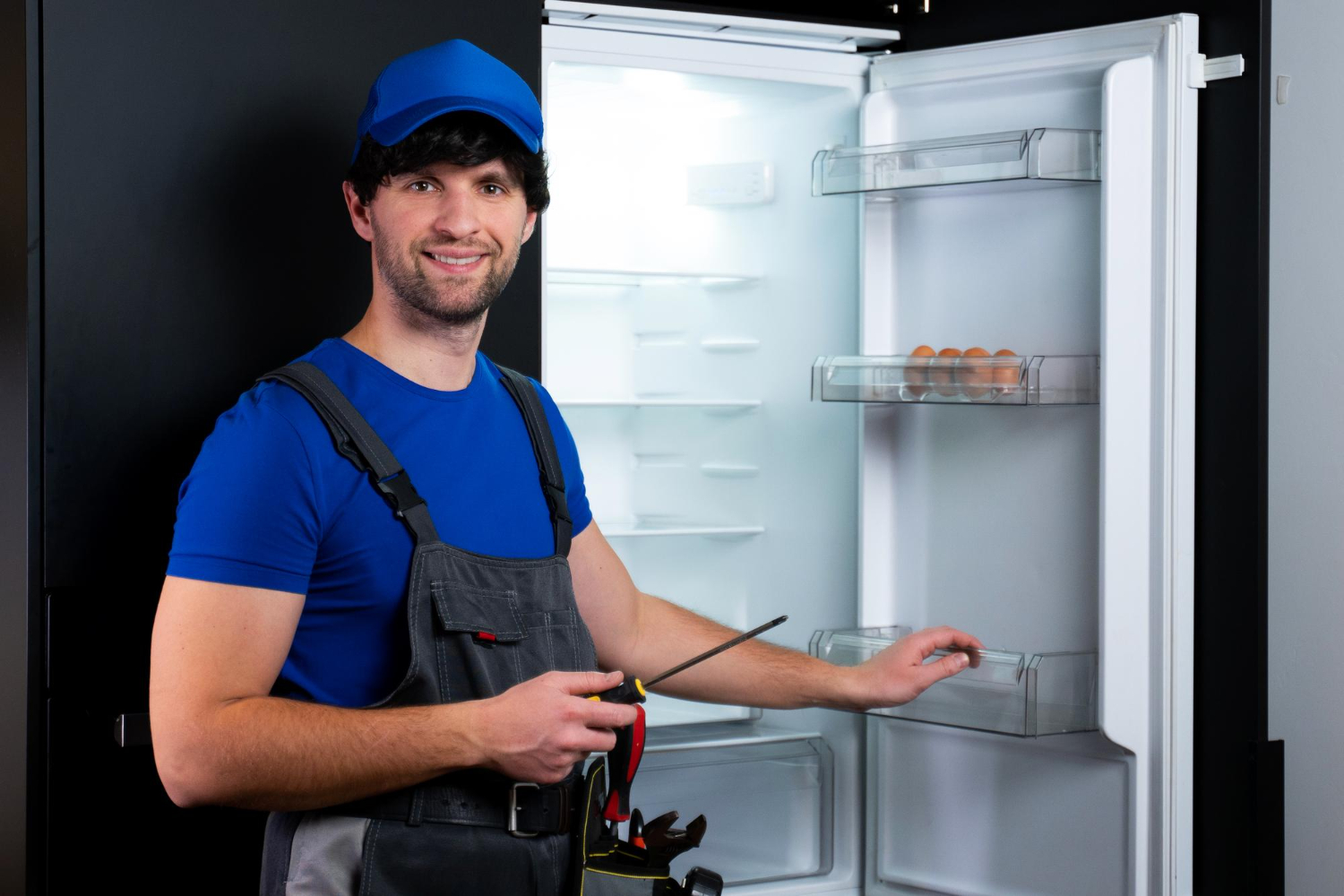 AEG Fridge Repairs Windsor Downs