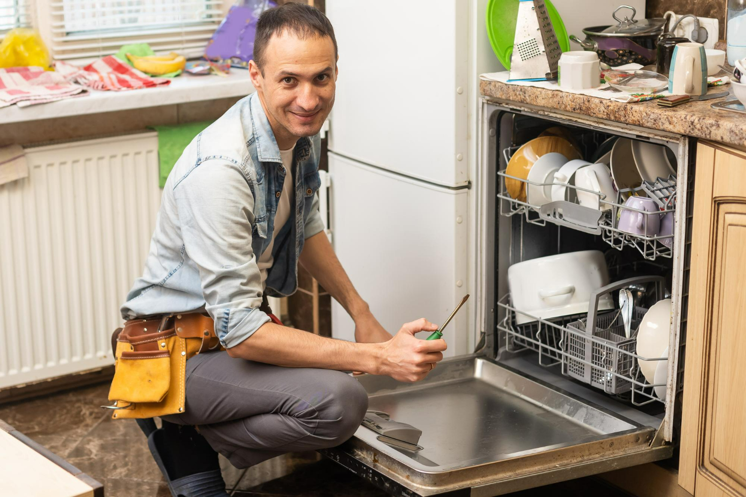 Blanco Dishwasher Repair Service Penrith