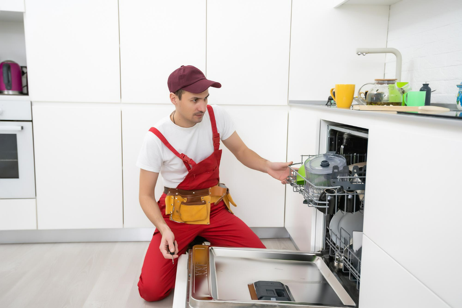 AEG Dishwasher Repair Service Kellyville