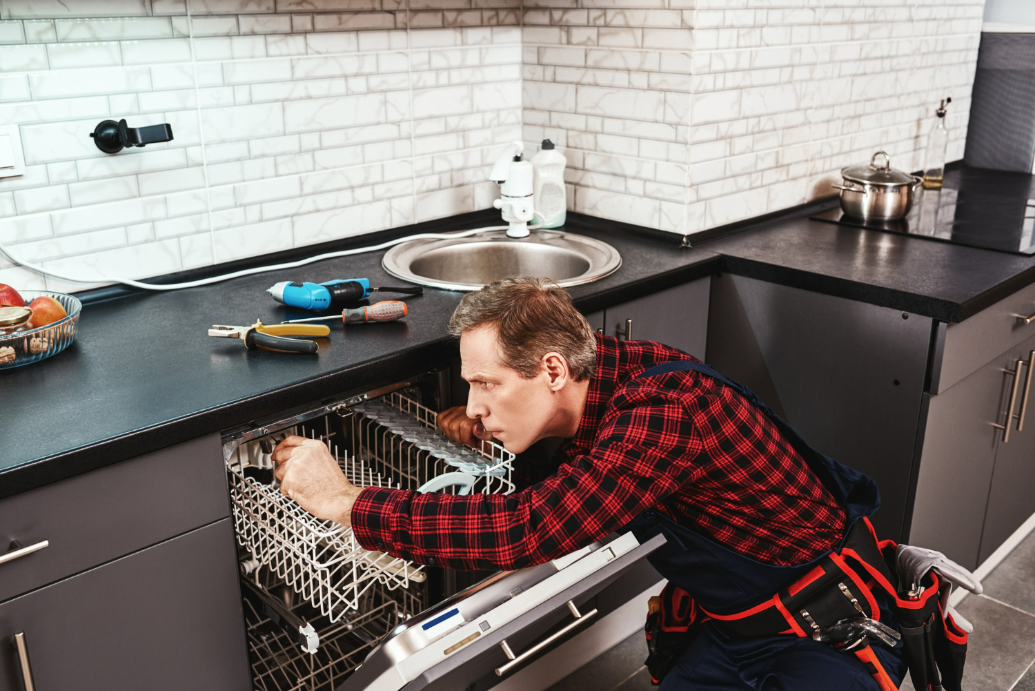 AEG Dishwasher Repair Service Riverstone
